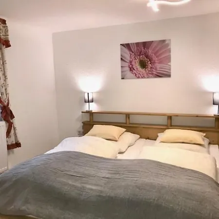 Reimold 3* 贝布拉